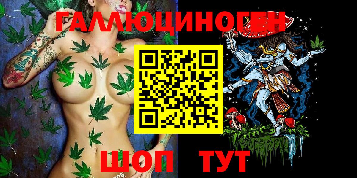 Псилоцибиновые грибы Psilocybe Мыски